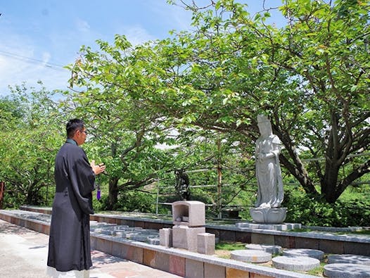 一心寺 樹木葬「夢さくら」