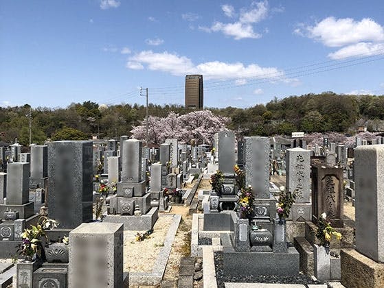 平和公園 養念寺