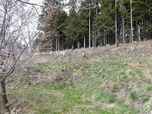 浄光寺「やすらぎ浄桜墓」 永代供養墓 樹木葬