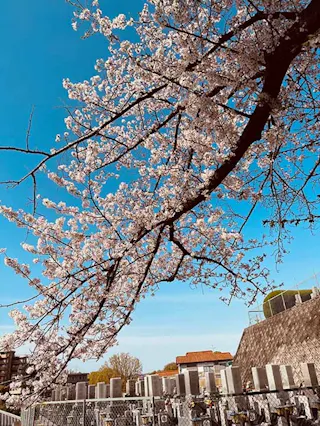 本厳寺霊苑