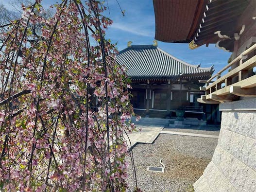 東光寺霊園