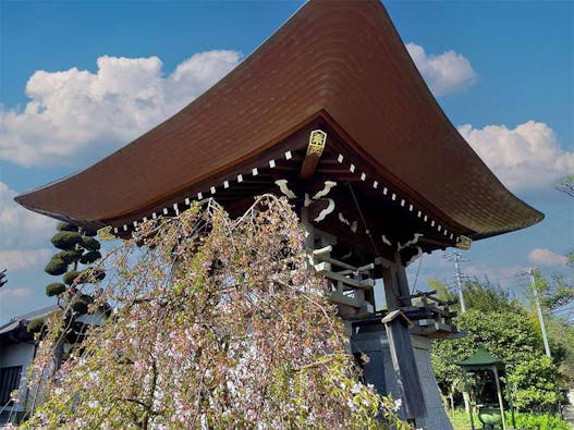 東光寺霊園