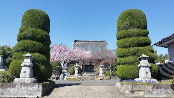 充国寺 永代供養墓