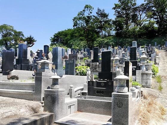 西園寺 西園寺(宮城県多賀城市)の概要・価格・アクセス｜宮城の霊園.com
