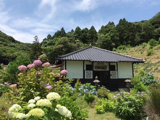 紫陽花の丘 静岡県南伊豆町 の概要 価格 アクセス 静岡の霊園 Com 無料 資料請求