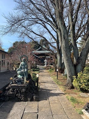 法雲寺 新百合ヶ丘墓苑 樹木葬