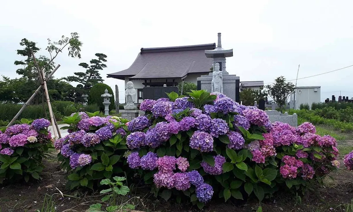 専光寺 永代供養墓(岩沼市)の永代供養墓