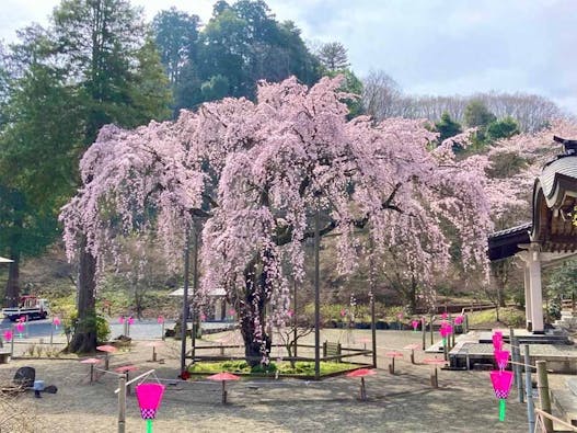 八王子高尾「光とガラスの花壇墓地」花ごころ