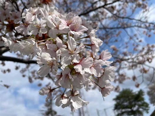 八王子高尾「光とガラスの花壇墓地」花ごころ