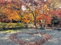 八王子高尾「光とガラスの花壇墓地」花ごころ 秋には紅葉も。毎年各地からたくさんの方が一目見ようと訪れます。