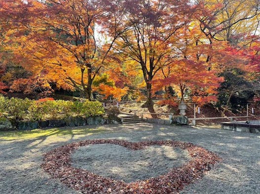 八王子高尾「光とガラスの花壇墓地」花ごころ