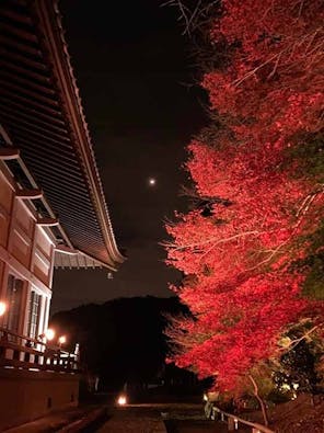 八王子高尾「光とガラスの花壇墓地」花ごころ