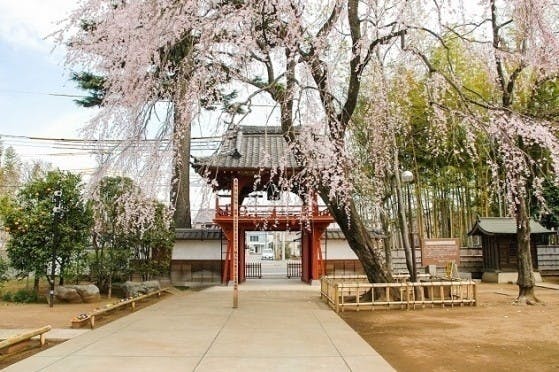 相頓寺墓苑 永代供養付 家族墓・夫婦墓