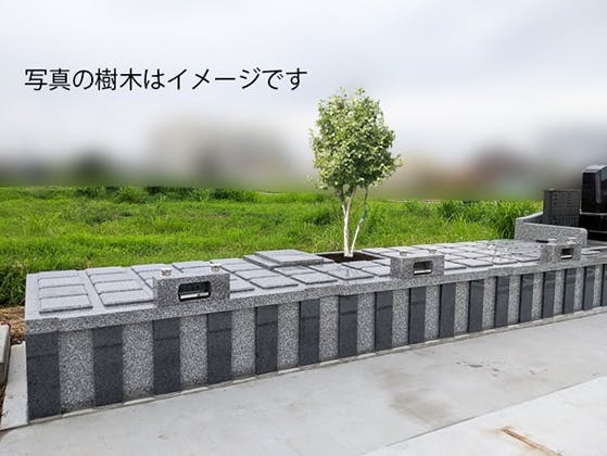 桜山樹木葬