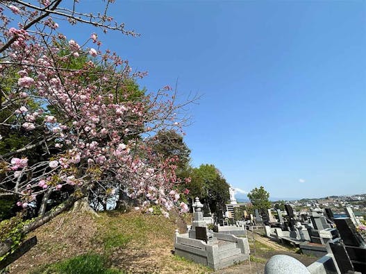 みしま望嶽の丘・結の杜