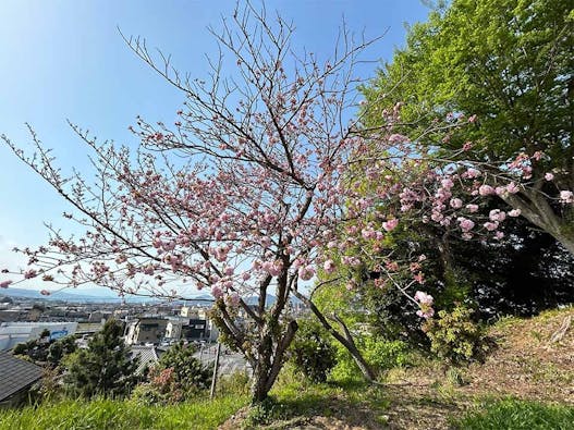 みしま望嶽の丘・結の杜