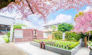 放光寺 永代供養墓・樹木葬
