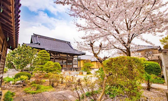 放光寺 永代供養墓・樹木葬