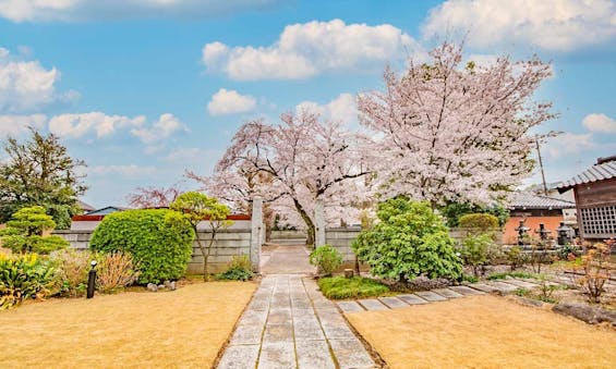 放光寺 永代供養墓・樹木葬