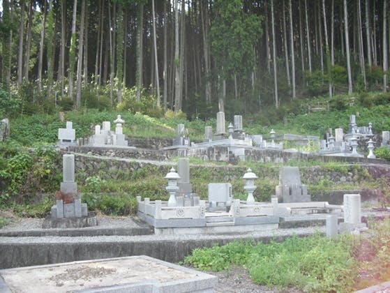 向本寺墓地