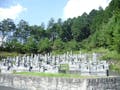 盛林寺墓地