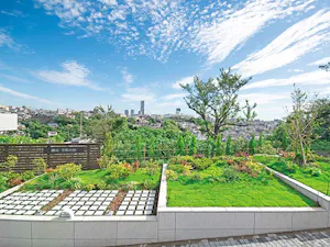 樹木葬墓地 横浜令和の杜(南区)の霊園