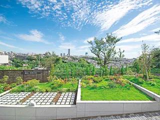 樹木葬墓地 横浜令和の杜