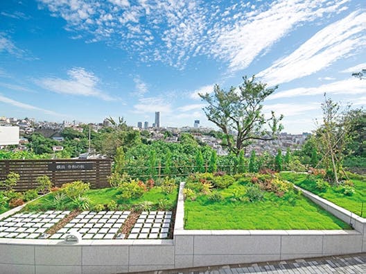 樹木葬墓地 横浜令和の杜