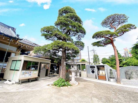 杉並 下高井戸駅近樹木葬「蛍」