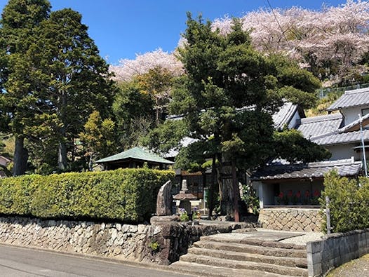 大安寺 個別供養塔