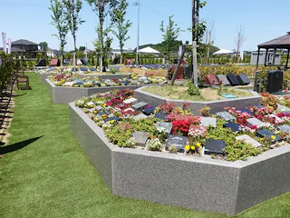 おおさき さくら花陵