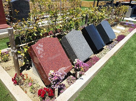 おおさき さくら花陵