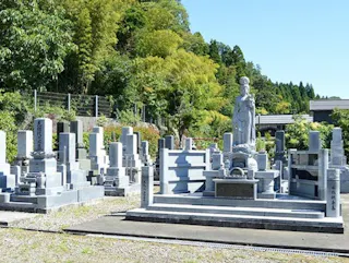 紫雲界