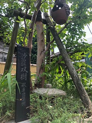 大雄寺 永代供養墓