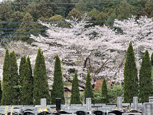 バラの里 おぎの聖地公園