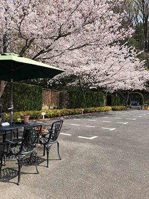 バラの里 おぎの聖地公園