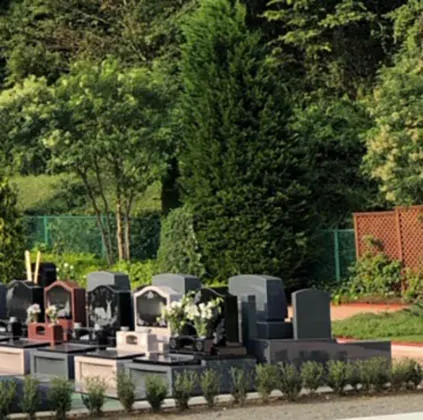 バラの里 おぎの聖地公園 緑豊かな園内風景