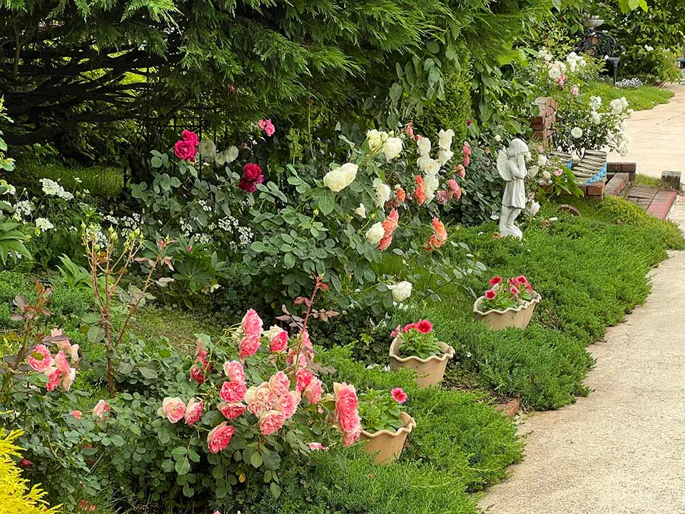 バラの里 おぎの聖地公園 園内風景