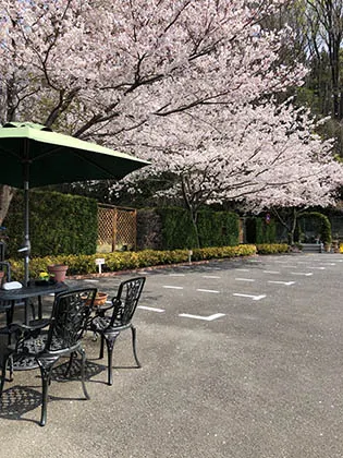 バラの里 おぎの聖地公園 駐車場