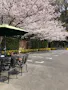 バラの里 おぎの聖地公園 駐車場