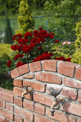 バラの里 おぎの聖地公園