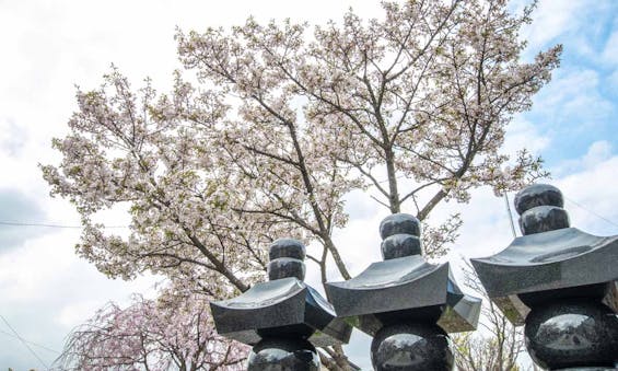 深廣寺 永代供養墓・樹木葬