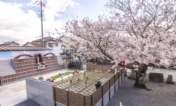 深廣寺 永代供養墓・樹木葬