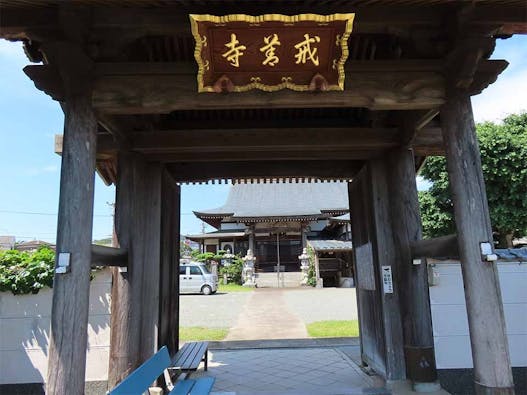 戒善寺墓地(水明館)