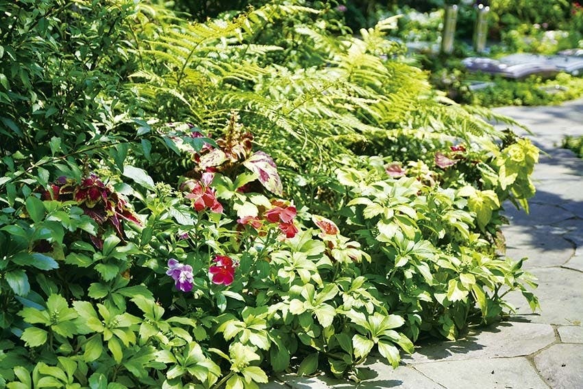 瑞光寺墓苑 季節の花々が境内を彩ります