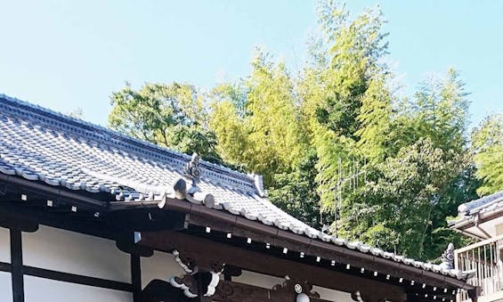 天真寺 個別永代供養・樹木葬