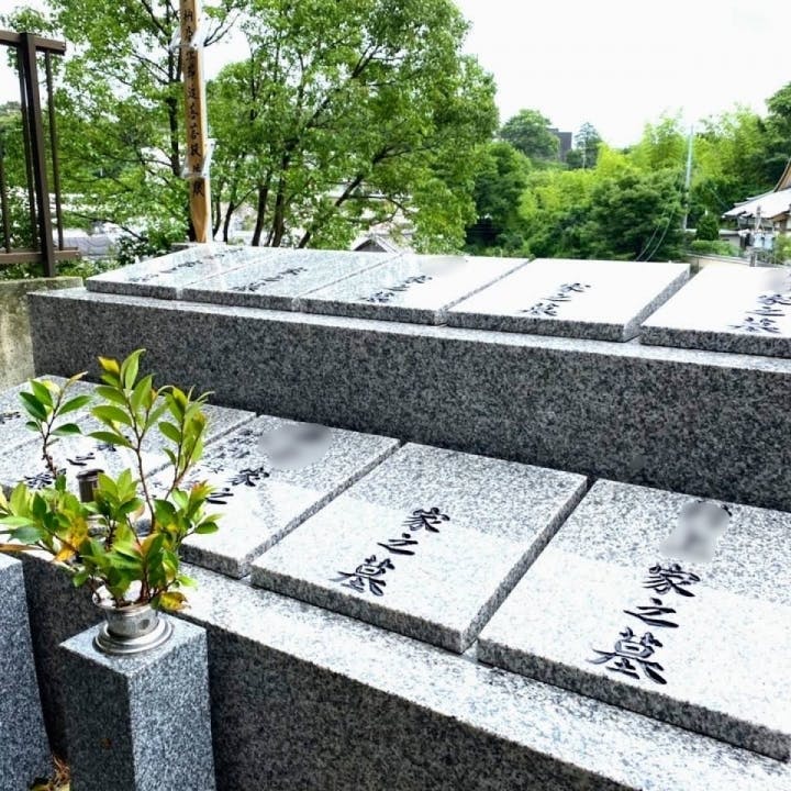 天真寺 個別永代供養・樹木葬の画像