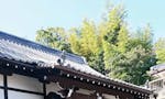 天真寺 個別永代供養・樹木葬