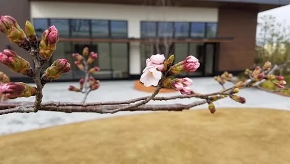 まごころガーデン -豊橋-