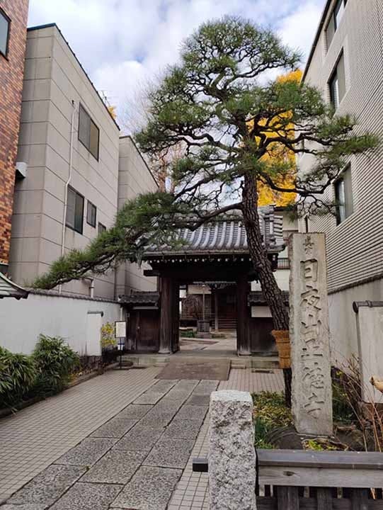 品川永代供養樹木葬「欅(けやき)の杜」